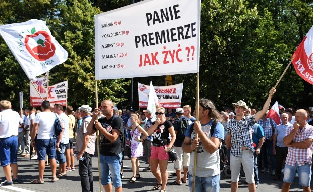 Sadownicy protestują w Warszawie. "Będziesz pan pracował za 35 groszy za kilogram?"