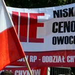 Sadownicy protestują w Warszawie; chcą eksportować jabłka do Rosji