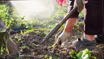 Sadownicy z Mazowsza: Obawiamy się przymrozków
