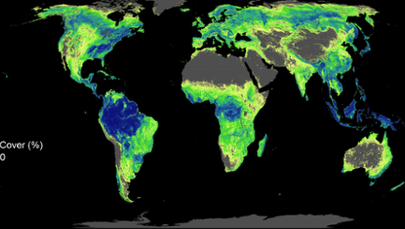 Sadźmy drzewa. Lasy mogą uratować nam klimat!