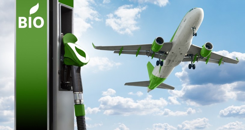 SAF (zrównoważone paliwo lotnicze) jest jednym z ważniejszych wynalazków, mający pomóc zmniejszyć ślad węglowy w transporcie. Do tej pory jednak nikt nie używał do jego produkcji zużytego oleju kuchennego /123RF/PICSEL