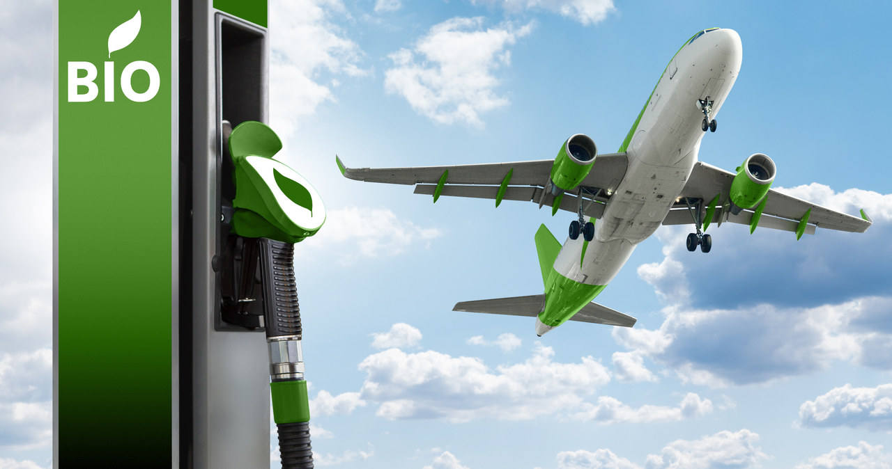 SAF (zrównoważone paliwo lotnicze) jest jednym z ważniejszych wynalazków, mający pomóc zmniejszyć ślad węglowy w transporcie. Do tej pory jednak nikt nie używał do jego produkcji zużytego oleju kuchennego /123RF/PICSEL