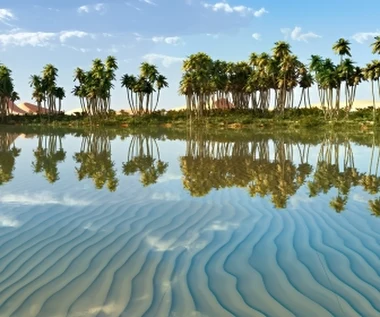 Sahara nie zawsze była pustynią. Zaskakujące odkrycie naukowców