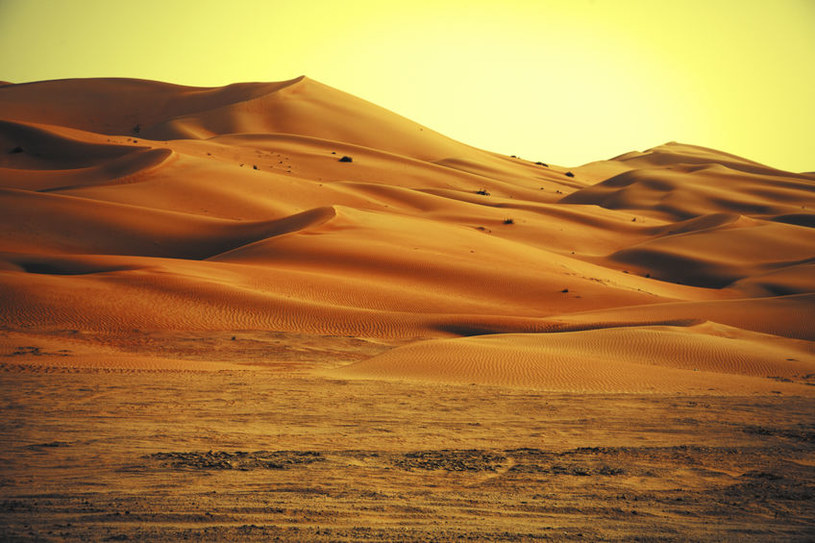 Sahara nie zawsze była spalonym przez Słońce pustkowiem /123RF/PICSEL