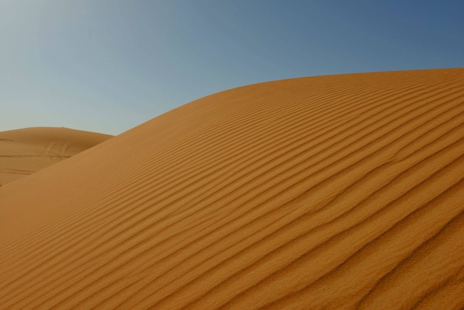 Sahara /DPA/Frank May   /PAP