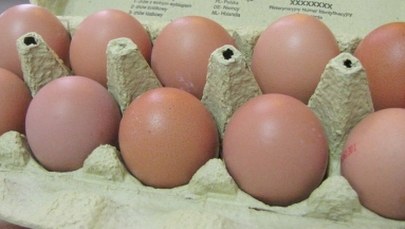 Salmonella. Jak uniknąć zarażenia? 