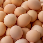 Salmonella na skorupkach jaj. Ostrzeżenie Głównego Inspektoratu Sanitarnego