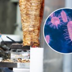 Salmonella nie tylko w jajach. Zakażone mięso znalazło się w kebabie