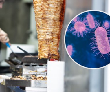 Salmonella nie tylko w jajach. Zakażone mięso znalazło się w kebabie