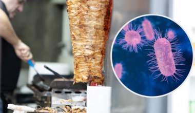 Salmonella nie tylko w jajach. Zakażone mięso znalazło się w kebabie