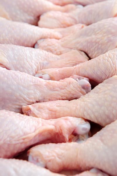 Salmonella staje się coraz większym problemem producentów drobiu /poboczem.pl