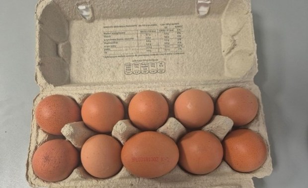 Salmonella w natarciu. GIS ostrzega przed tym produktem