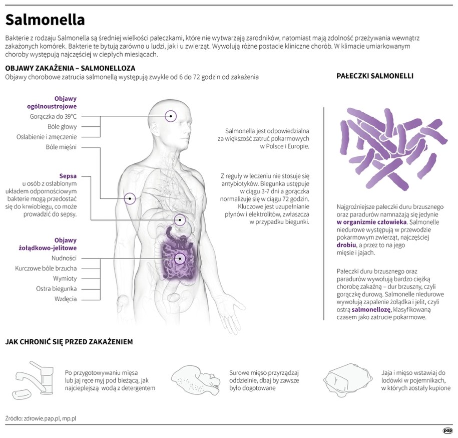 Salmonella /Mateusz Krymski /PAP