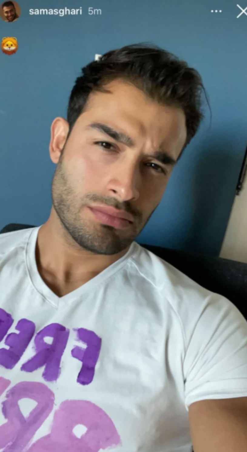 Sam Asghari Britney Spears / Así fue cómo Britney Spears y Sam Asghari