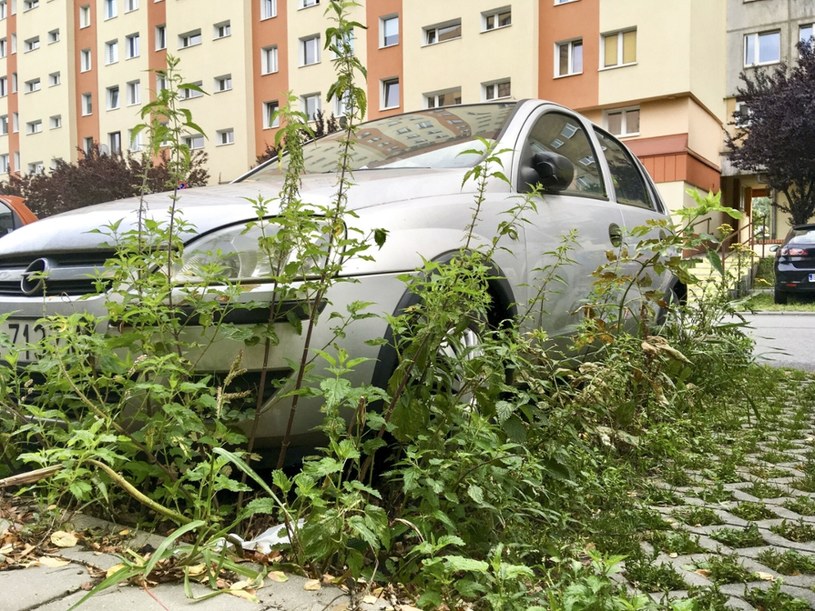 Sam fakt, że auto przestaje jeździć nie zwalnia z konieczności płacenia OC /Piotr Kamionka /Reporter