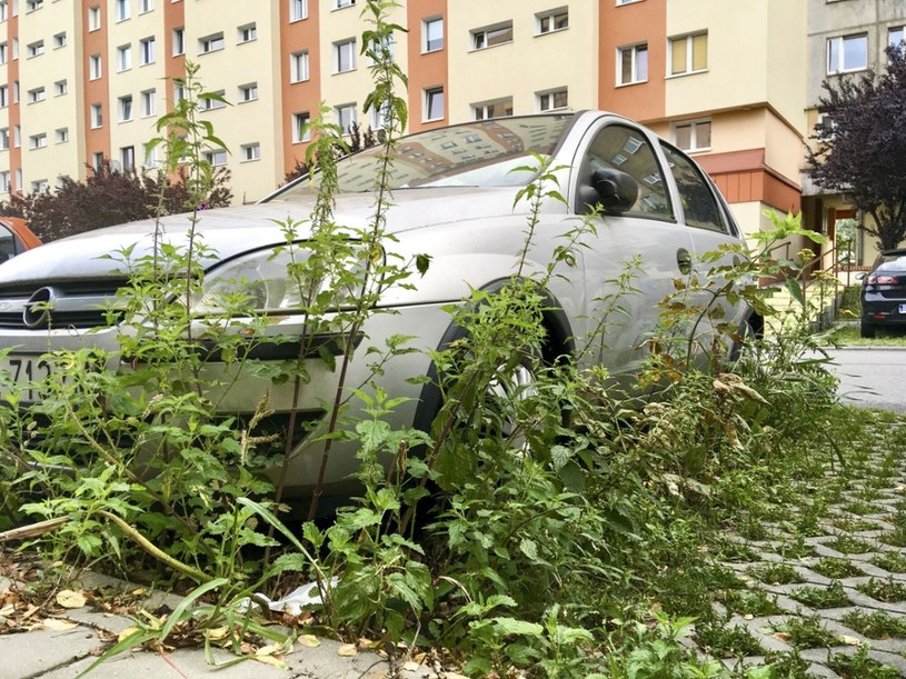 Oc Za Niesprawne Lub Rozbite Auto Jest Obowiązkowe - Motoryzacja W Interia.pl