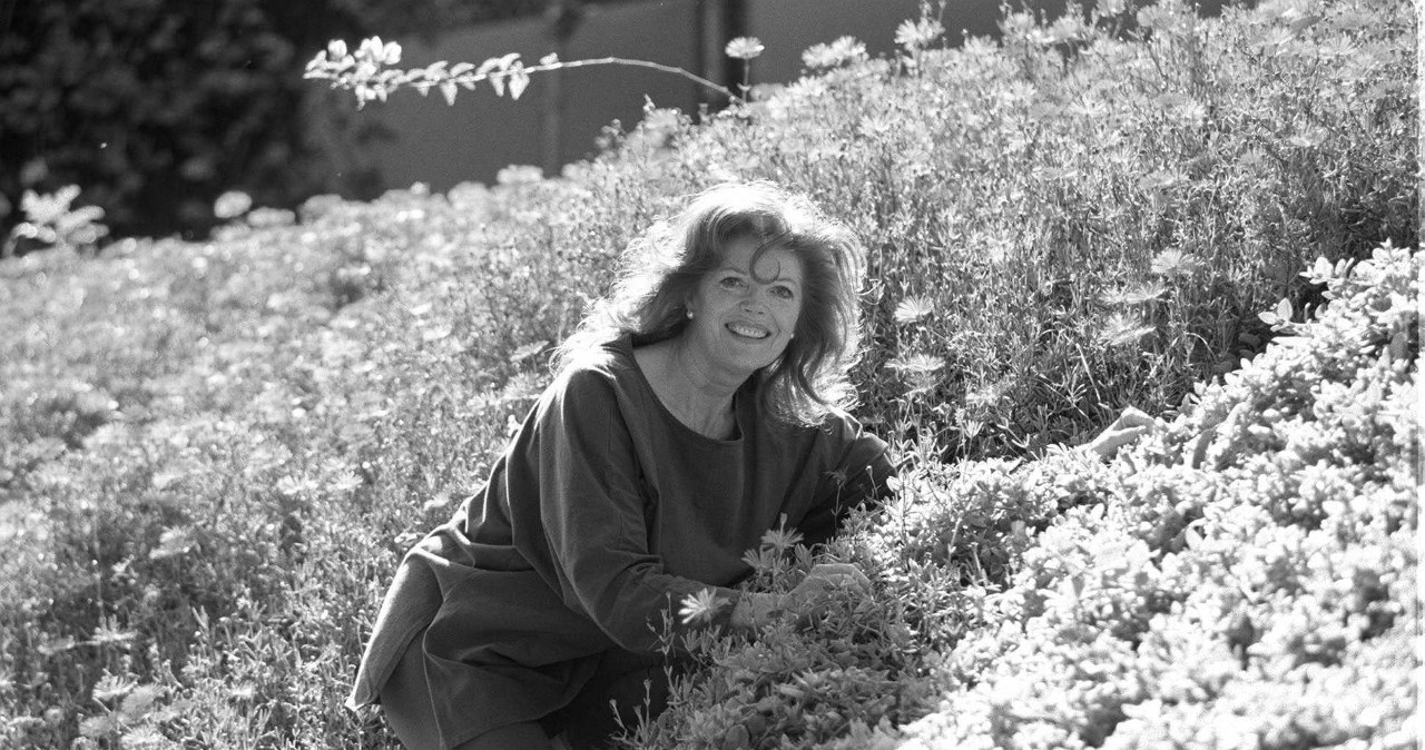 Samantha Eggar /Paul Harris  /Getty Images