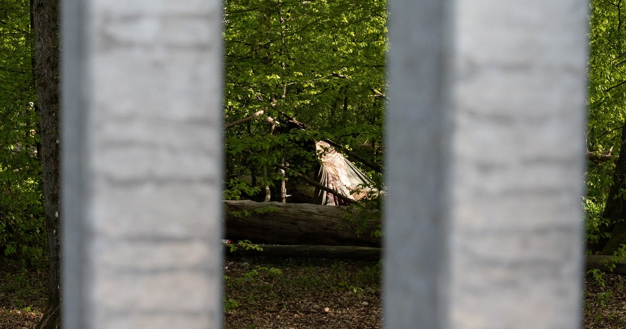 "Sami żołnierze podkreślają, że jak jest zimno, aktywność migrantów, którzy mieszkają w obozach przy granicy, spada, bo warunki atmosferyczne nie sprzyjają pobytowi na zewnątrz". /Mikołaj Kamieński  /Agencja FORUM