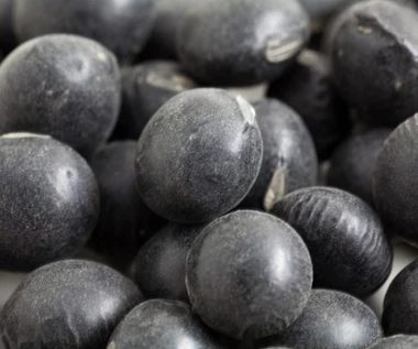 Samo dobro zamknięte w niewielkich ziarnach. Ma ogrom białka, dla serca i kości jest jak zbawienie