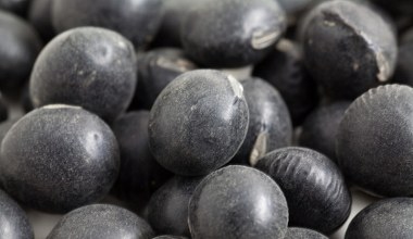 Samo dobro zamknięte w niewielkich ziarnach. Ma ogrom białka, dla serca i kości jest jak zbawienie