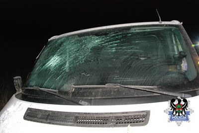 Samochód biorący udział w wypadku /Policja