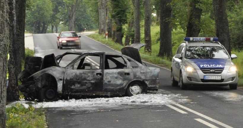 Samochód doszczętnie spłonął /Policja