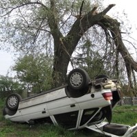 Samochód na drzewie koło Goleniowa