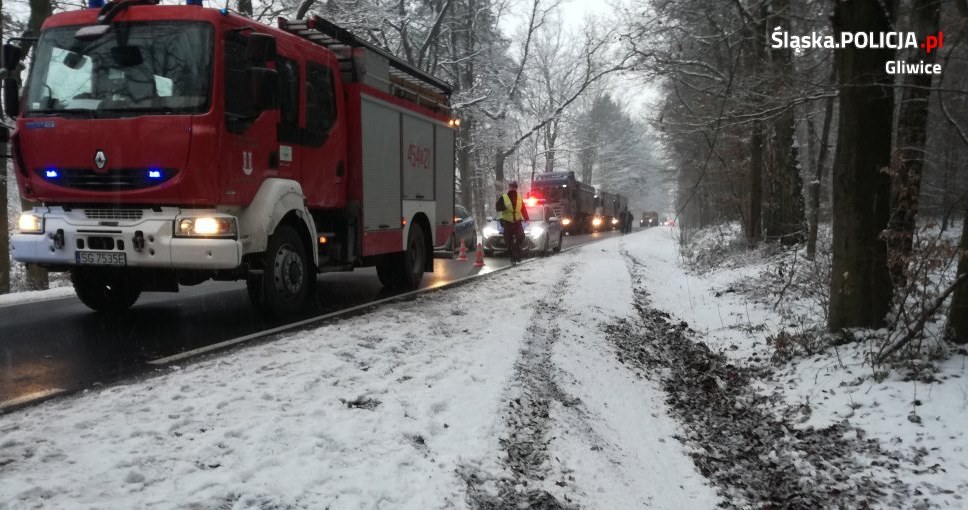 Samochód nie wpadł w poślizg, po prostu zjechał z drogi... /Policja