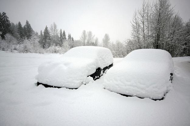 Samochód powinien być dokładnie oczyszczony ze śniegu /Informacja prasowa