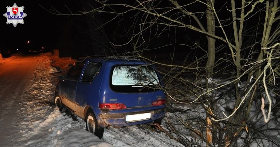 Samochód przejechał przez przydrożne krzaki i zatrzymał się na poboczu /Informacja prasowa