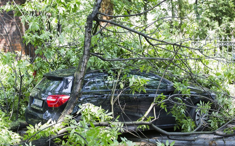 Samochód przygnieciony przez drzewo często nie nadaje się do naprawy /Andrzej Hulimka  /Reporter