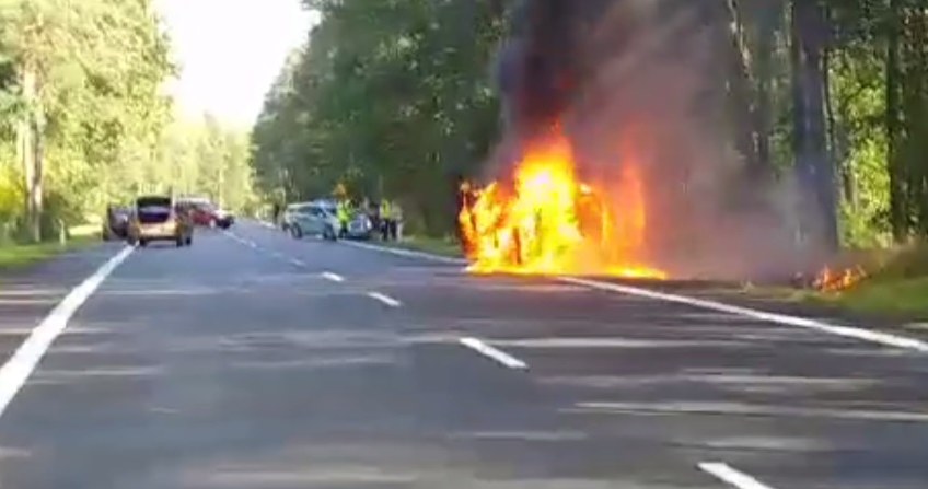 Samochód spłonął doszczętnie, na szczęście nie zajął się las i nikt nie ucierpiał /Policja