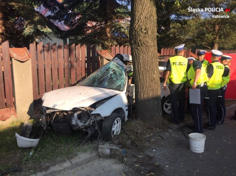 Samochód uderzył bokiem, drzwiami kierowcy w drzewo /Informacja prasowa