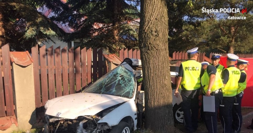Samochód uderzył bokiem, drzwiami kierowcy w drzewo /Informacja prasowa