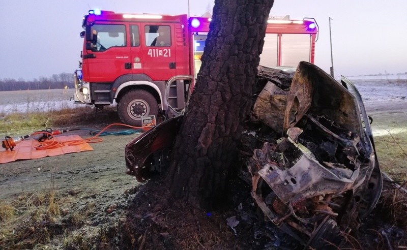 Samochód uderzył w drzewo i spłonął. We wraku odnaleziono szczątki pięciu osób / Fot: Straż pożarna /Informacja prasowa