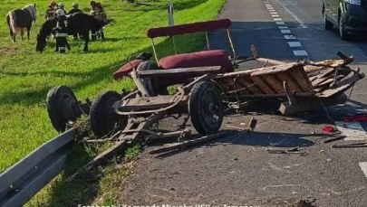 Samochód wjechał w furmankę koło Zamościa. Dwie osoby w szpitalu