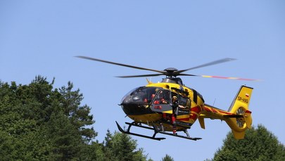 Samochód z przyczepą kempingową uderzył w drzewo. Zginął kierowca