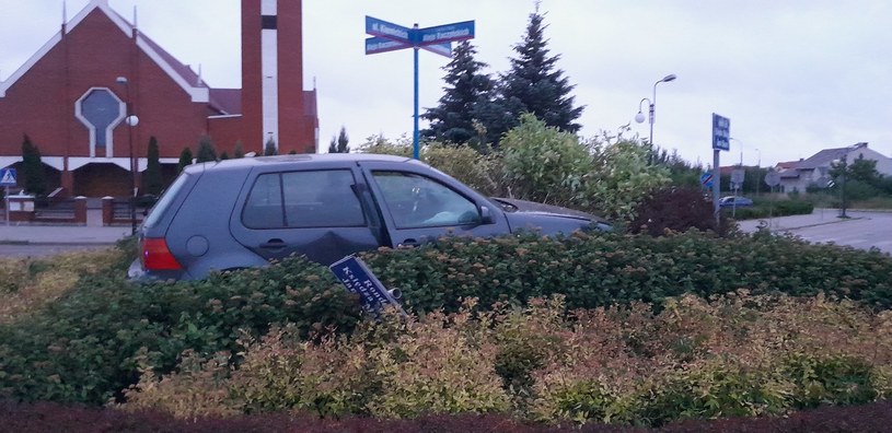 Samochód "zaparkował" pośród krzewów na środku ronda /Policja