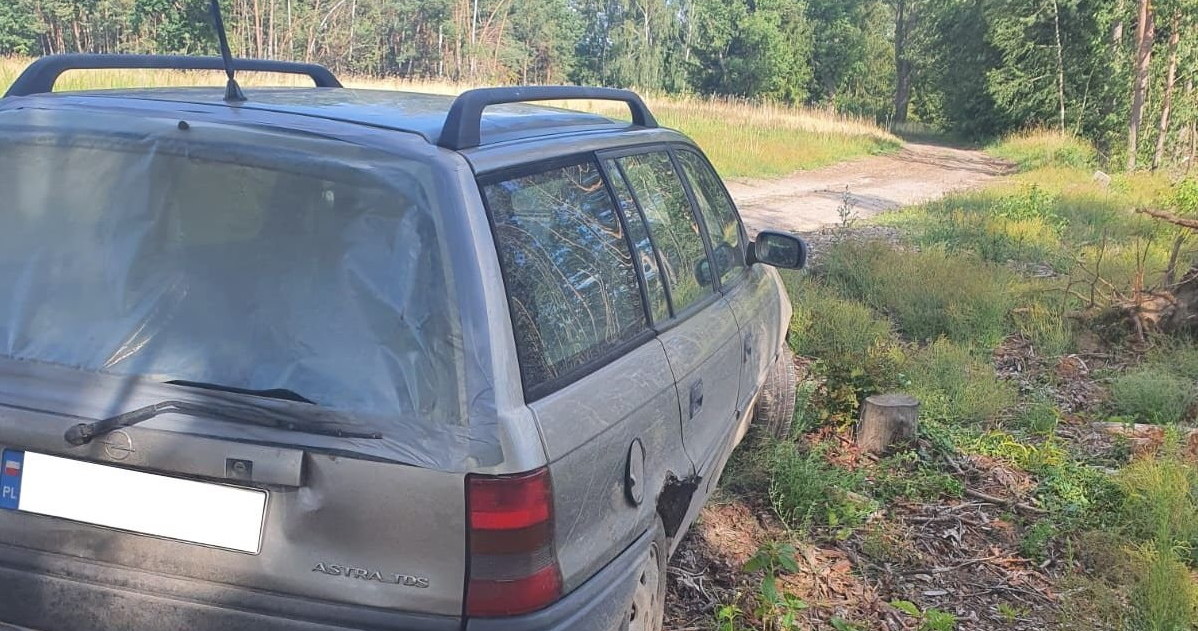 Samochód zawisł na pniu drzewa, wcześniej nastoletniemu kierowcy udało się m.in. wyrwać układ wydechowy /Policja