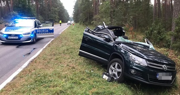 Samochód zniszczony przez upadające drzewo /KPP Biłgoraj /Policja