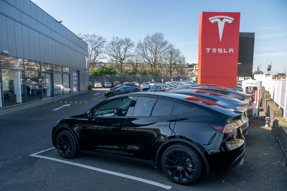 Samochody marki Tesla /Ray Tang/LNP/Shutterstock /East News