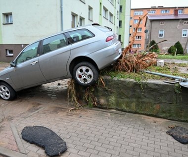 Samochody popowodziowe trafią do sprzedaży. Ważny zapis w umowie