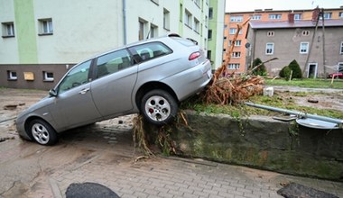 Samochody popowodziowe trafią do sprzedaży. Ważny zapis w umowie