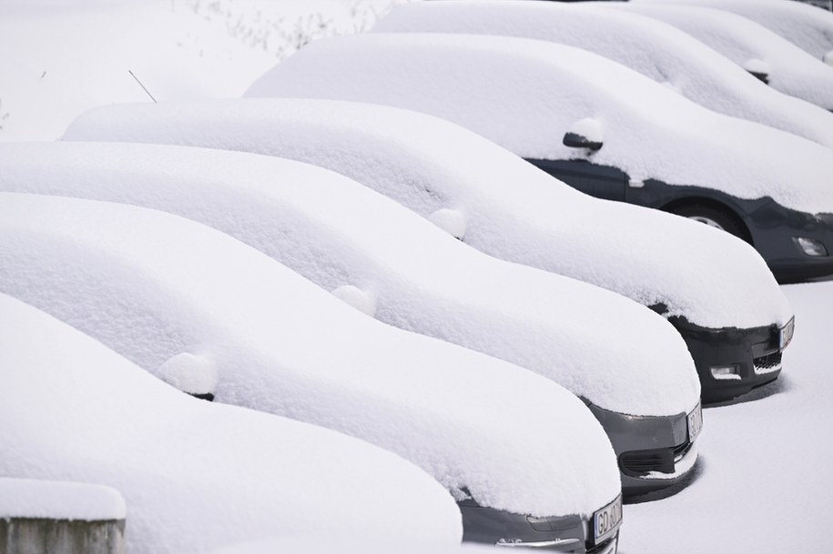 Samochody przysypane śniegiem w Gdańsku /Adam Warżawa /PAP