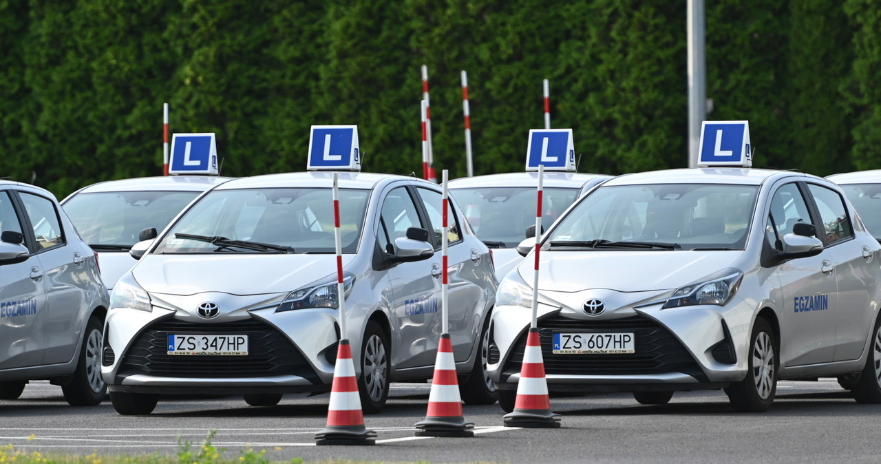 Samochody zostają na parkingach, egzaminy się nie odbywają / 	Marcin Bielecki    /PAP