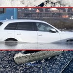 Samochody zostały uwięzione w morzu lodu. Właściciele nic nie mogą robić