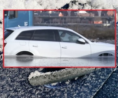 Samochody zostały uwięzione w morzu lodu. Właściciele nic nie mogą robić