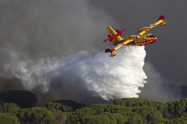 Samolot Canadair CL-415 podczas gaszenia pożaru /GUILLAUME HORCAJUELO  /PAP/EPA