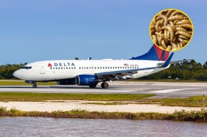Samolot Delta zmuszony do awaryjnego lądowania. Pasażerowie obsypani robakami 
