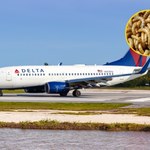 Samolot Delta zmuszony do awaryjnego lądowania. Pasażerowie obsypani robakami 